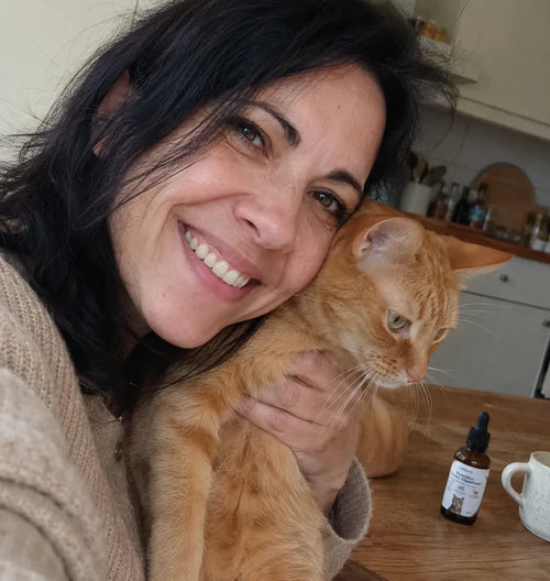 Dropparna som lugnar din katt som slickar sig oavbrutet