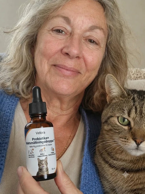 Dropparna som lugnar din katt som slickar sig oavbrutet