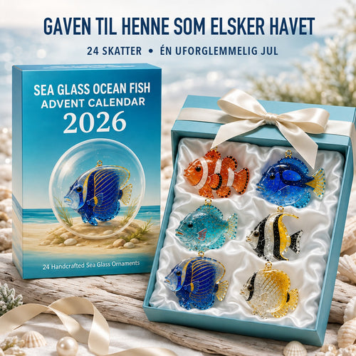 Velora™ Merilasi Joulukalenteri 2026 | 24 lasikalaa mereltä