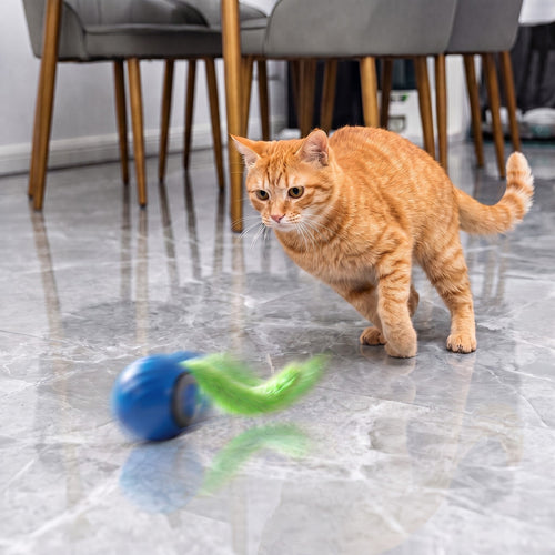 Jaktballen™ | Selvgående kattleke som katten din jager som byttedyr