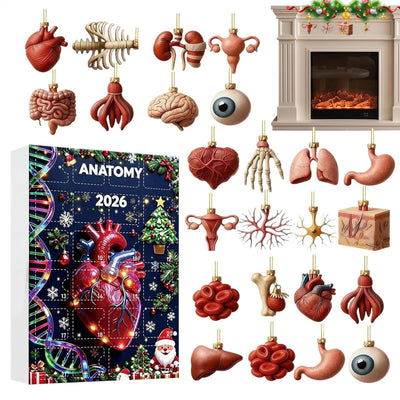 Anatomi Adventskalender 2026 | 24 organer som julepynt