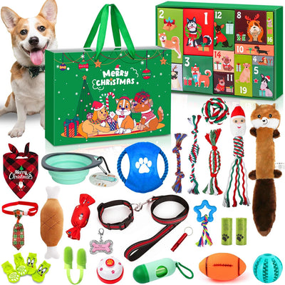 Hund Adventskalender 2026 | 24 presenter till hunden med koppel