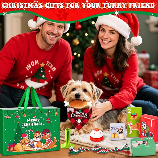 Hund Adventskalender 2026 | 24 presenter till hunden med koppel