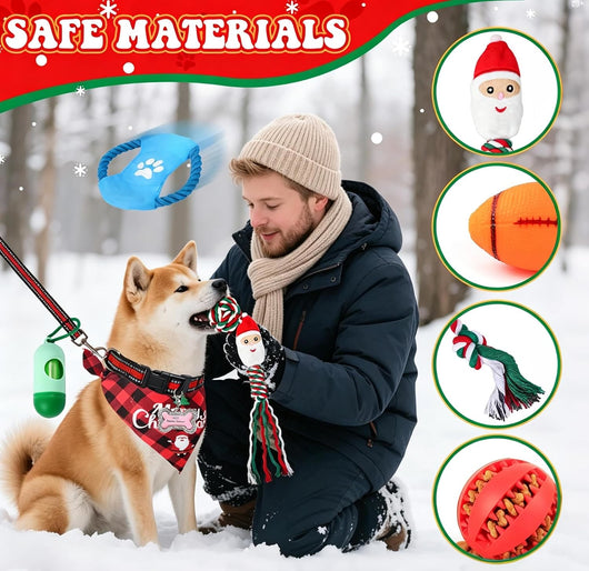 Hund Adventskalender 2026 | 24 gaver til hunden med bånd
