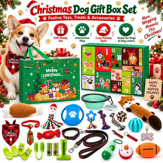 Hundleksaker Adventskalender 2026 | 24 leksaker till hunden