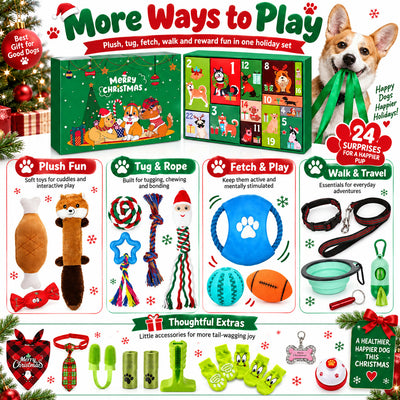 Hundleksaker Adventskalender 2026 | 24 leksaker till hunden