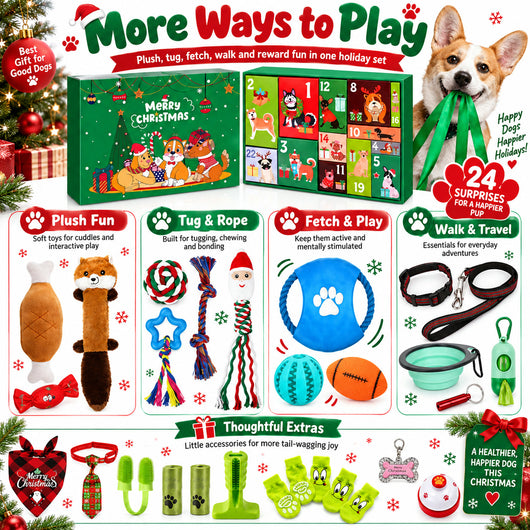 Hundleksaker Adventskalender 2026 | 24 leksaker till hunden