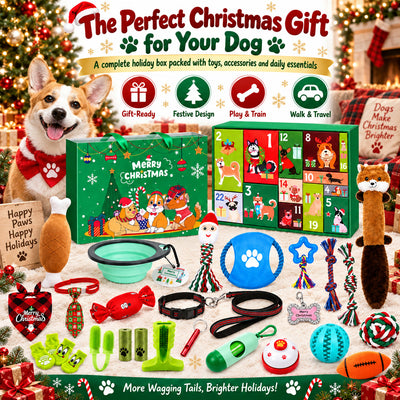 Hundleksaker Adventskalender 2026 | 24 leksaker till hunden