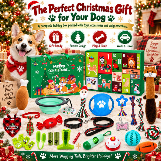 Hundleksaker Adventskalender 2026 | 24 leksaker till hunden