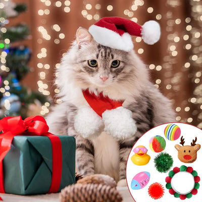 Katteleker Adventskalender 2026 | 24 leker til katten
