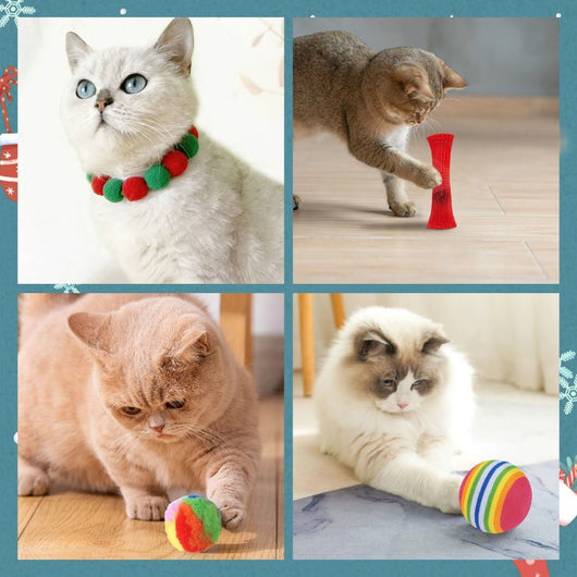 Katteleker Adventskalender 2026 | 24 leker til katten
