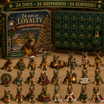 Schäfer Adventskalender 2026 | 24 olika schäferfigurer
